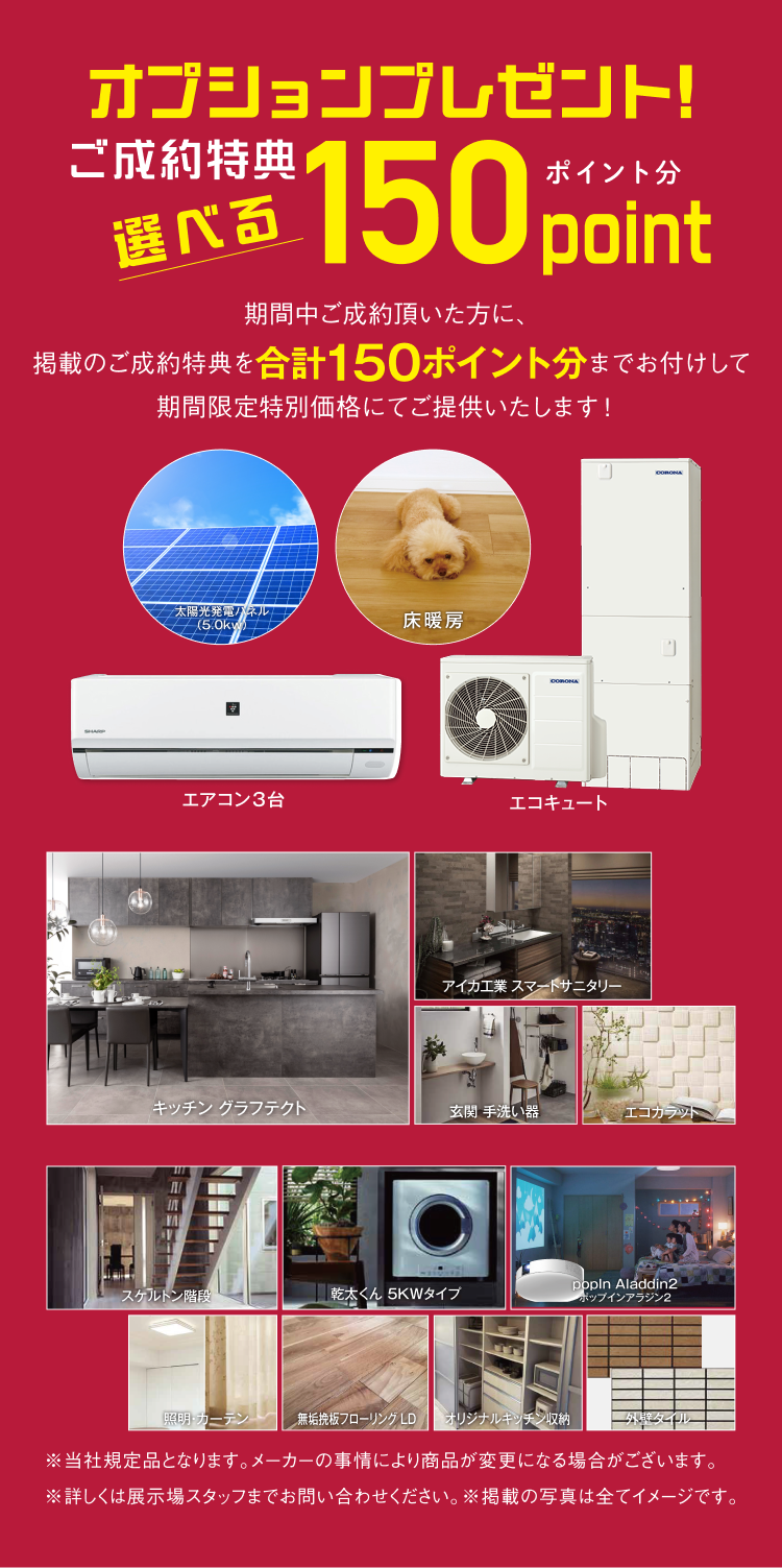 オプションプレゼント｜150ポイント